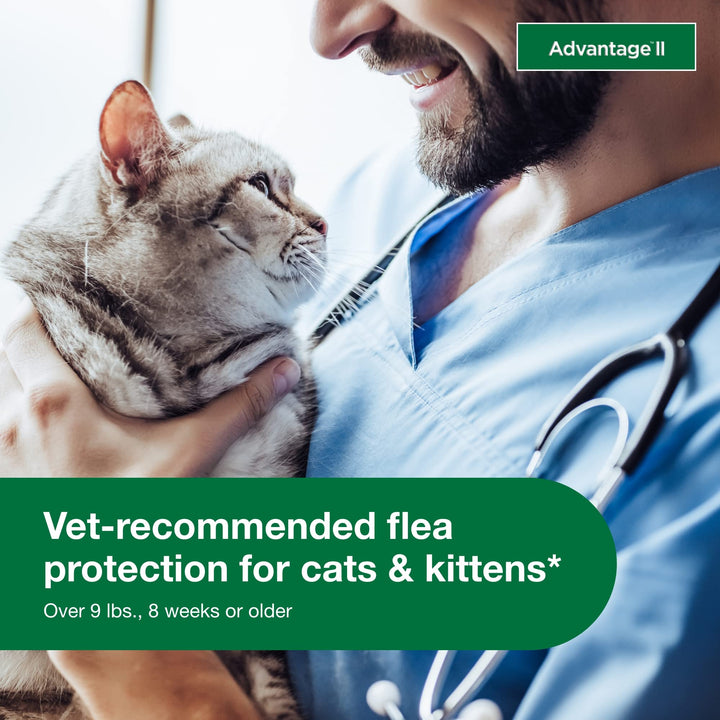 Advantage II Large Cat Topical Flea Treatment &amp; Prevention, 6ct