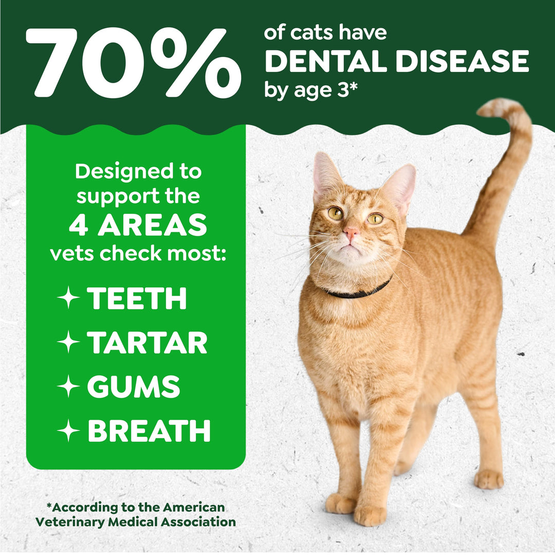 Greenies Feline Natural Dental Cat Treats, Roasted Chicken Flavor, 21 oz