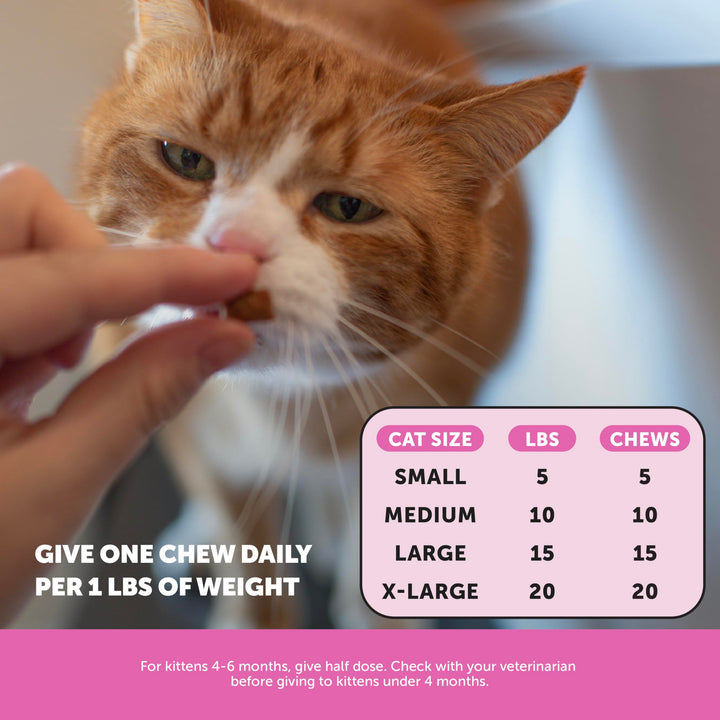 Pet Honesty Vet Backed Cat Multivitamin, Chicken, 90-Day Supply