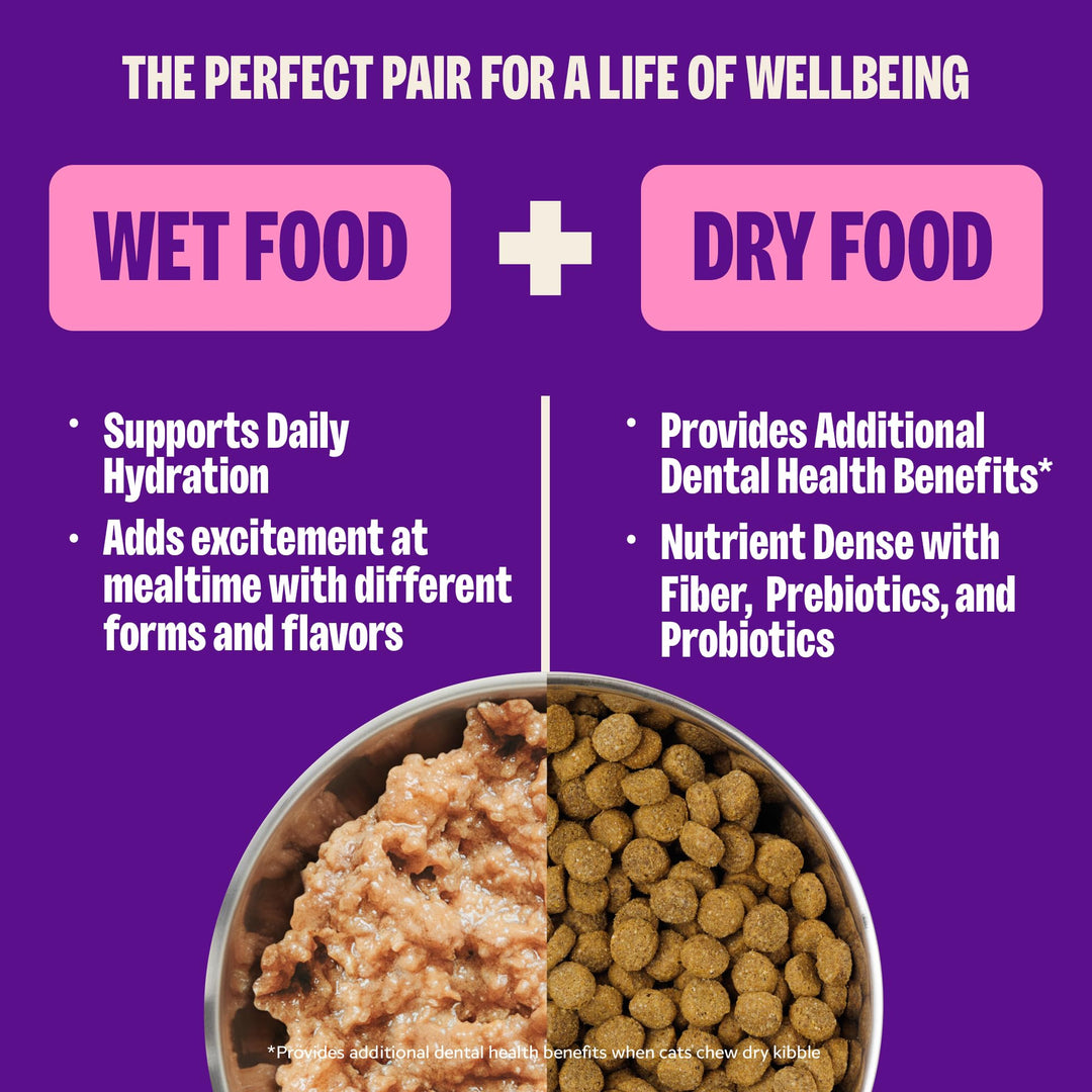 Wellness Complete Health Pate Adult Wet Cat Food, Natural, Protein-Rich, Grain Free, 5.5 Ounce, 12 Pack, (Turkey &amp; Salmon)
