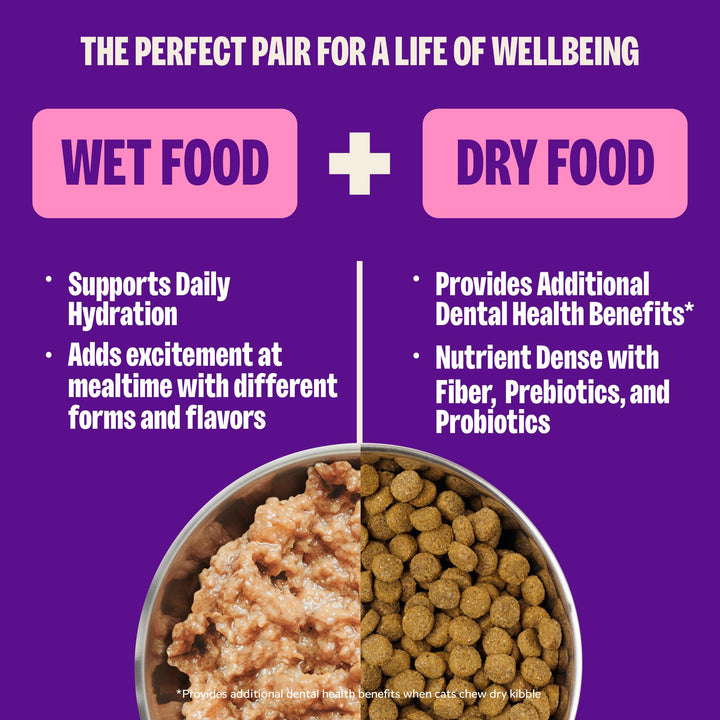 Wellness Complete Health Pate Adult Wet Cat Food, Natural, Protein-Rich, Grain Free, 5.5 Ounce, 12 Pack, (Turkey &amp; Salmon)