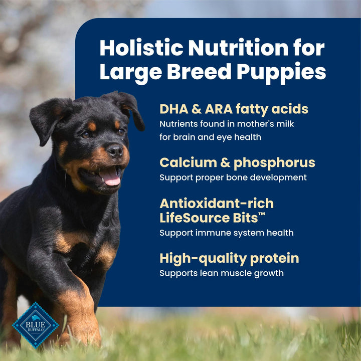 Blue Buffalo Life Protection Formula Chicken Large Puppy Dog Food, 30 lb