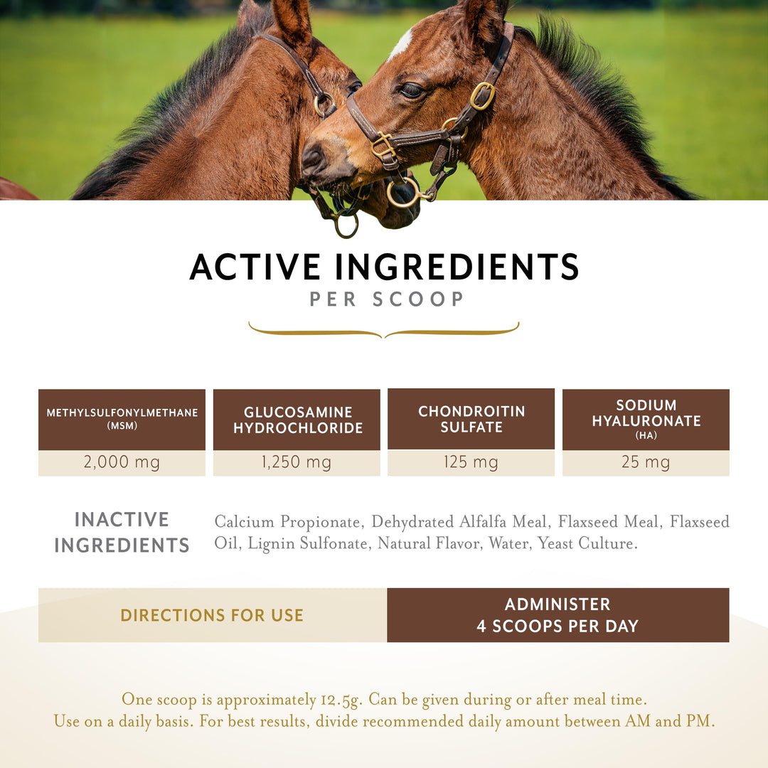 Equithrive Classic Joint Pellets Horse Supplement, 3.3 lbs