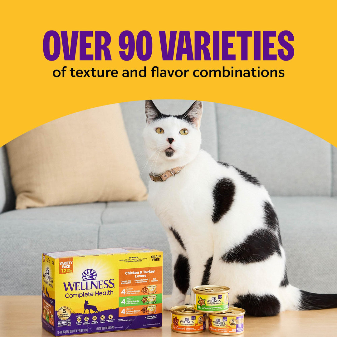 Wellness Complete Health Pate Adult Wet Cat Food, Natural, Protein-Rich, Grain Free, 5.5 Ounce, 12 Pack, (Turkey &amp; Salmon)