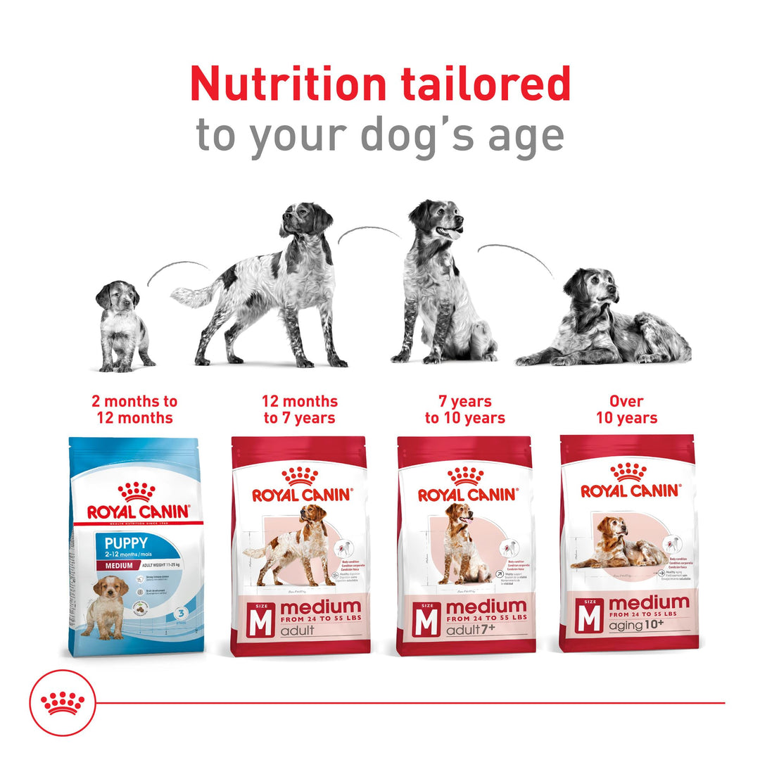 Royal Canin Size Health Nutrition Medium Adult Dry Dog Food, 30 lb Bag
