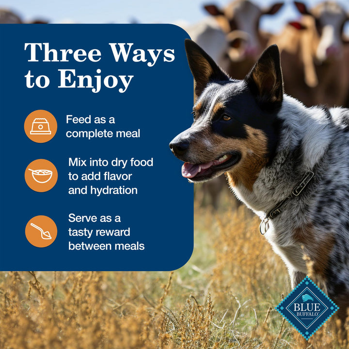 Blue Buffalo Homestyle Recipe Chicken Adult Wet Dog Food, 12.5 oz, 12 ct