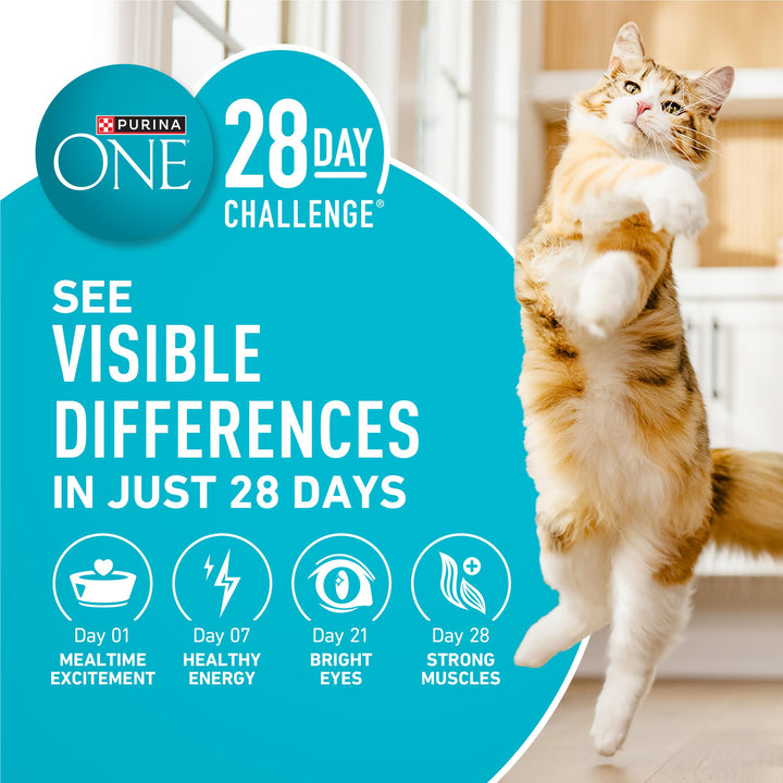 Purina ONE Tender Selects Dry Cat Food, Salmon, 7 lb Bag