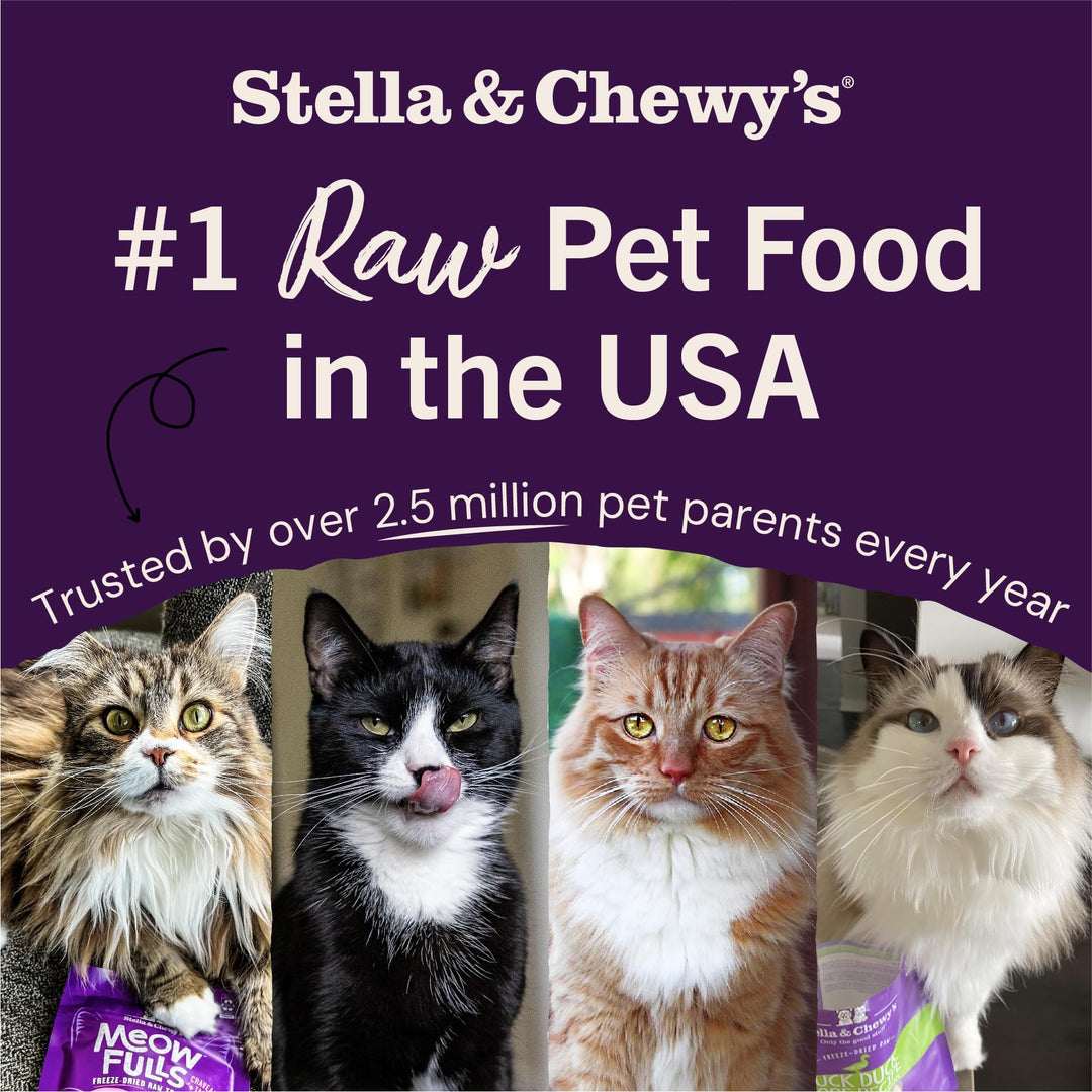 Stella &amp; Chewy&