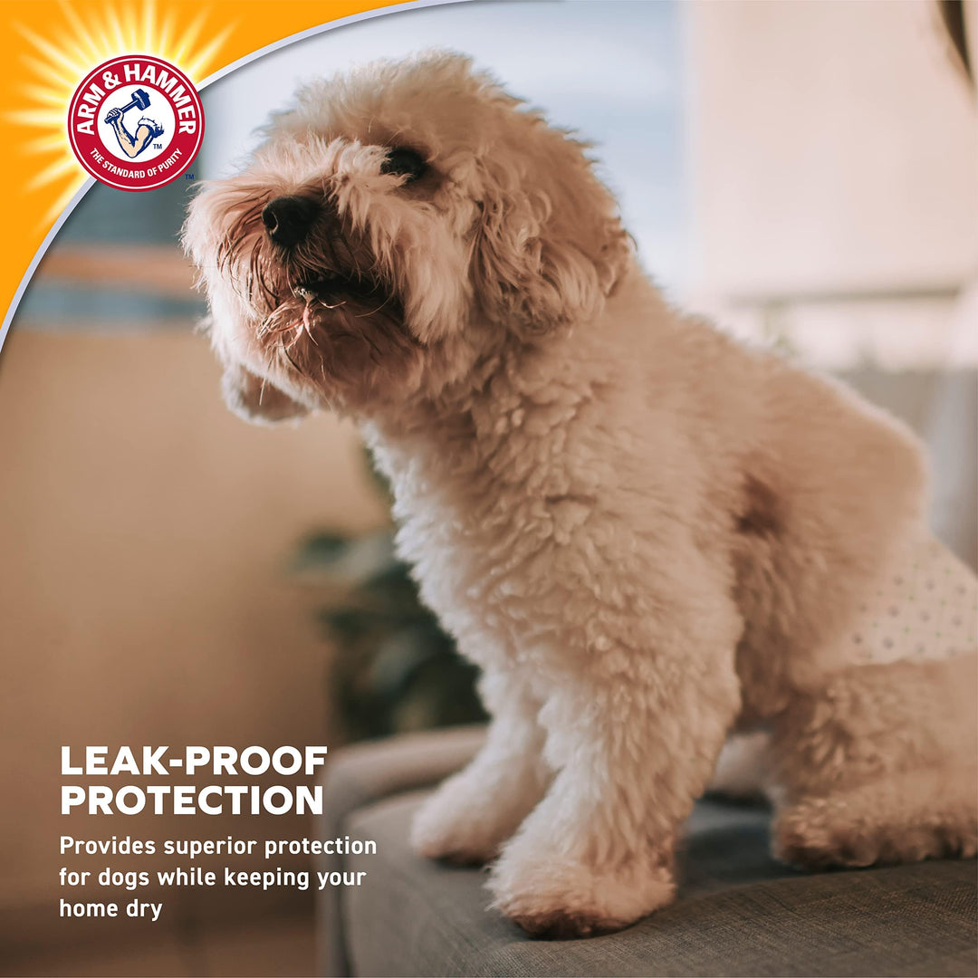 Arm &amp; Hammer Disposable Female Dog Diapers, Medium, 12 Count