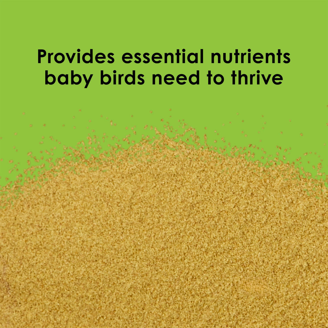 Kaytee Exact Hand Feeding Formula Baby Bird Food for Baby Birds, 5 Pounds