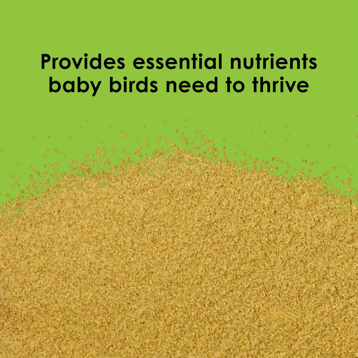 Kaytee Exact Hand Feeding Formula Baby Bird Food for Baby Birds, 5 Pounds