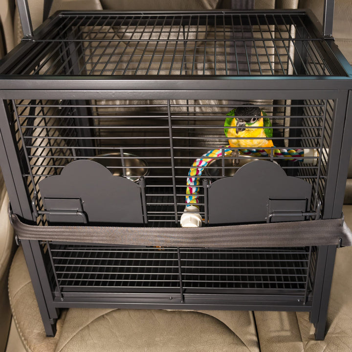 Prevue Pet Products Playtop Travel Carrier with Front Facing Door - Black