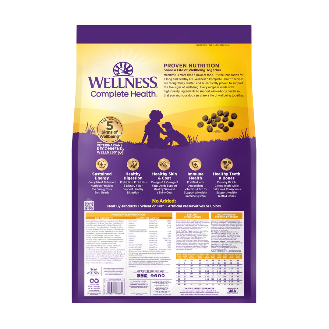 Wellness Complete Health Puppy Dry Dog Food, Wholesome Grain Kibble, Natural, Chicken, Oatmeal, and Salmon Recipe, 15 lb Bag