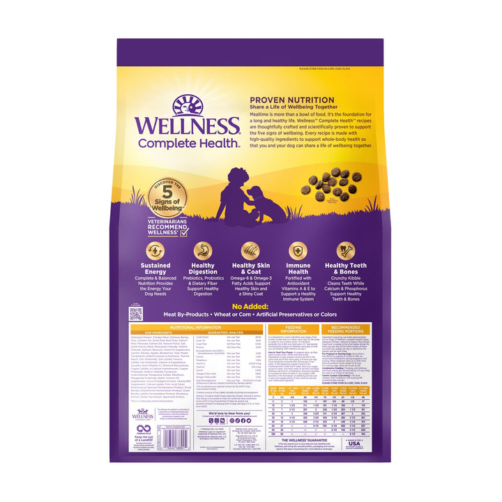 Wellness Complete Health Puppy Dry Dog Food, Wholesome Grain Kibble, Natural, Chicken, Oatmeal, and Salmon Recipe, 15 lb Bag