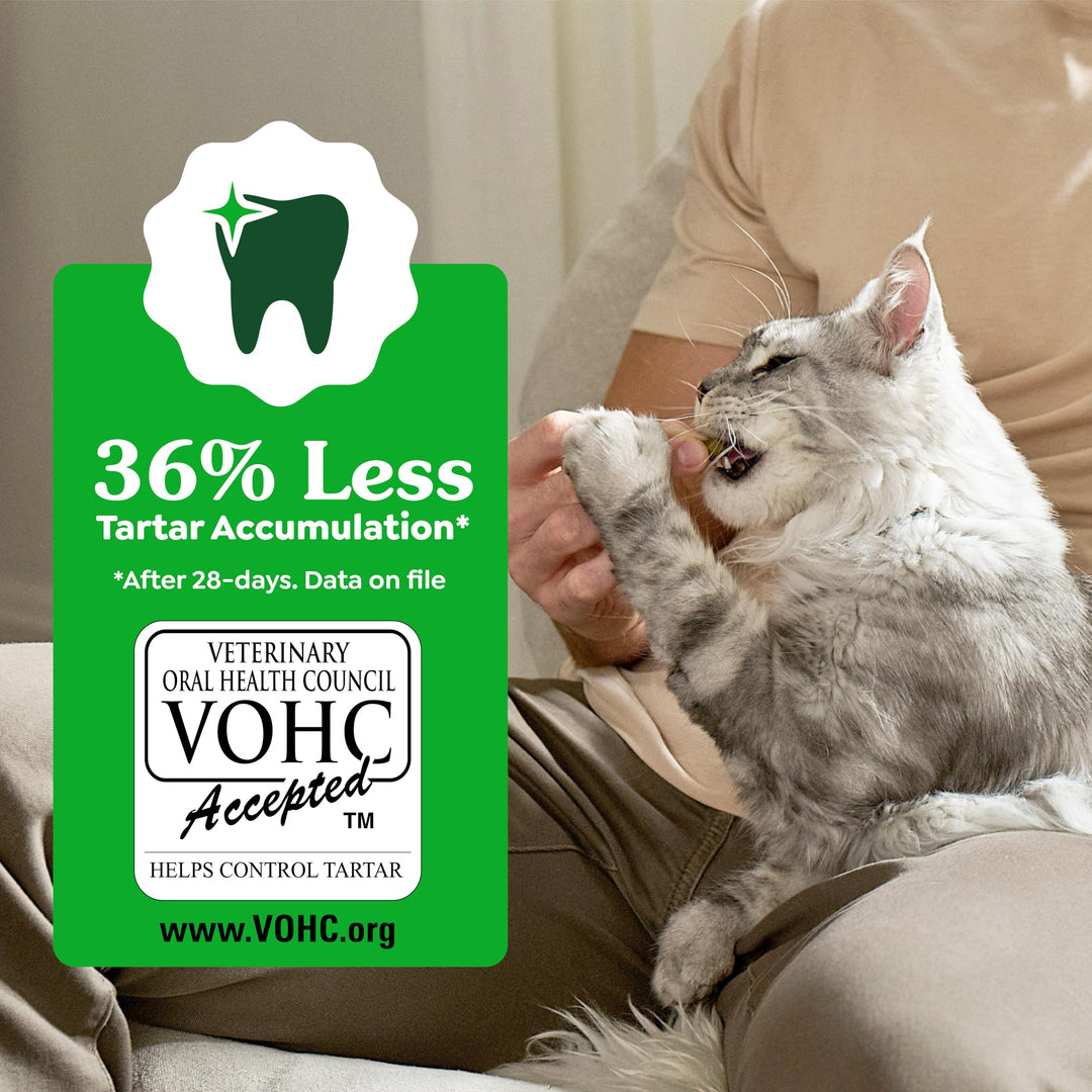 Greenies Feline Natural Dental Cat Treats, Roasted Chicken Flavor, 21 oz