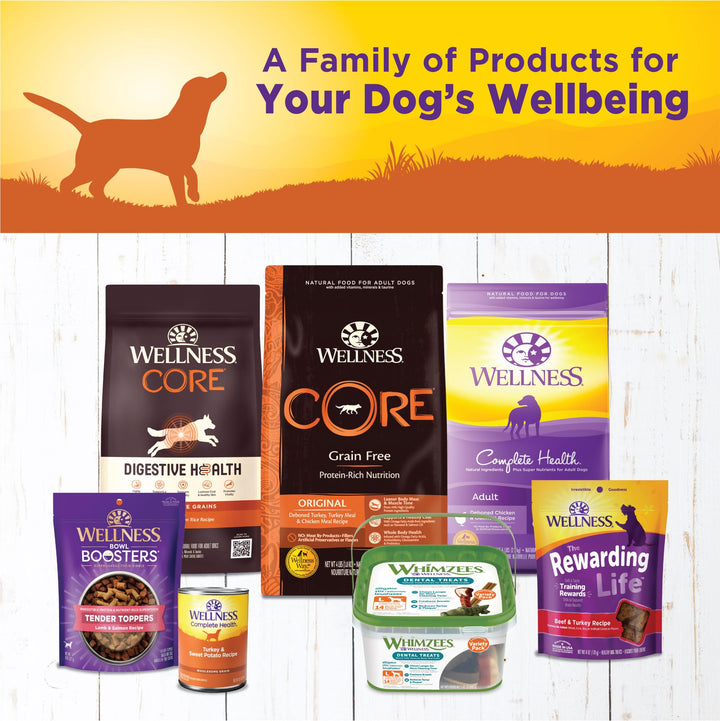 Wellness Complete Health Pate Adult Canned Wet Dog Food, Wholesome Grains, Natural, Turkey and Sweet Potato, 12.5 oz, Pack of 12 Cans