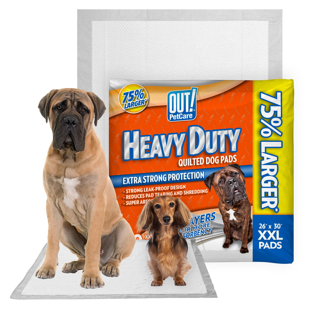 OUT! PetCare XXL Puppy Pads, Heavy Duty Pee Pads for Dogs, 26x30, 30 Count