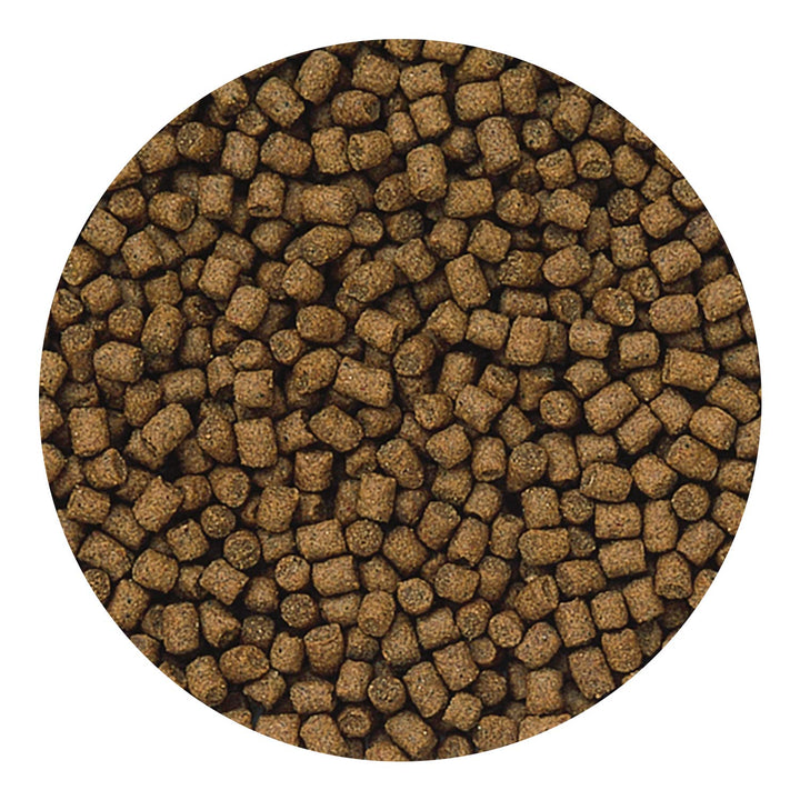 Hikari Lionhead Sinking Mini Pellets, 3.5 ounces