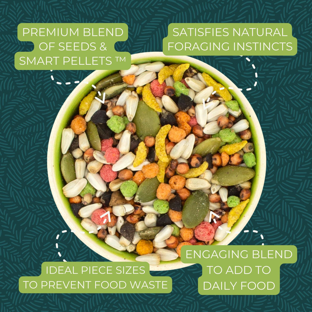 ZuPreem Sensible Seed Cockatiel &amp; Conure Food, Variety Mixer, Medium, 2 lb