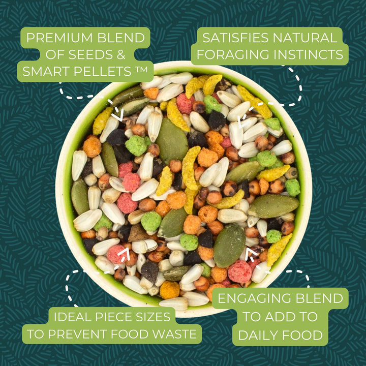 ZuPreem Sensible Seed Cockatiel &amp; Conure Food, Variety Mixer, Medium, 2 lb