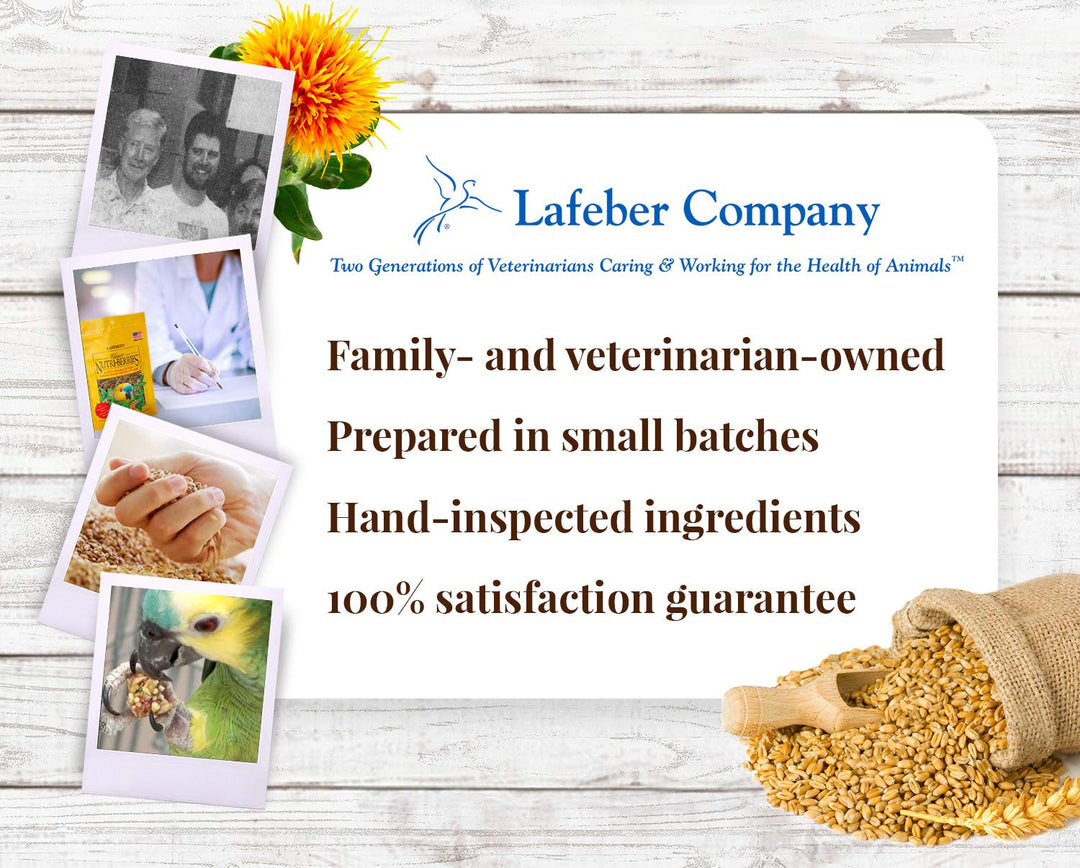 LAFEBER&
