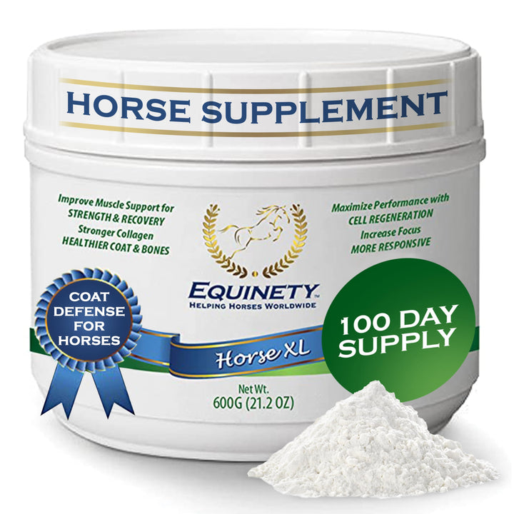 100-Day Supply Equinety Horse XL Powder Horse Supplement with Amino Acids