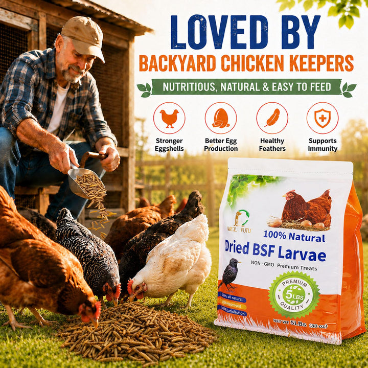 MEILLEURE 5LB Dried Black Soldier Fly Larvae for Laying Hens, Calcium Feed
