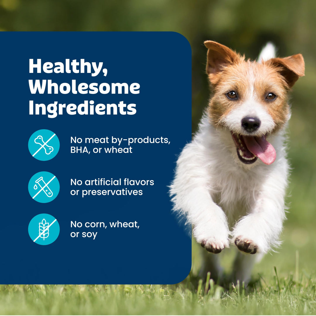 Blue Buffalo Health Bars Pumpkin &amp; Cinnamon Dog Biscuits, 16 oz