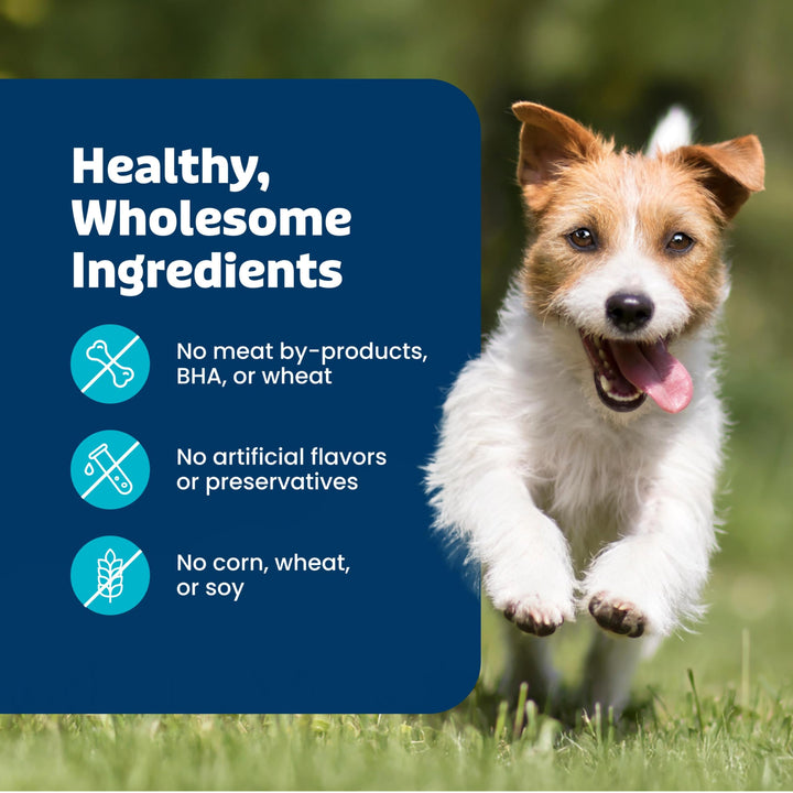 Blue Buffalo Health Bars Pumpkin &amp; Cinnamon Dog Biscuits, 16 oz