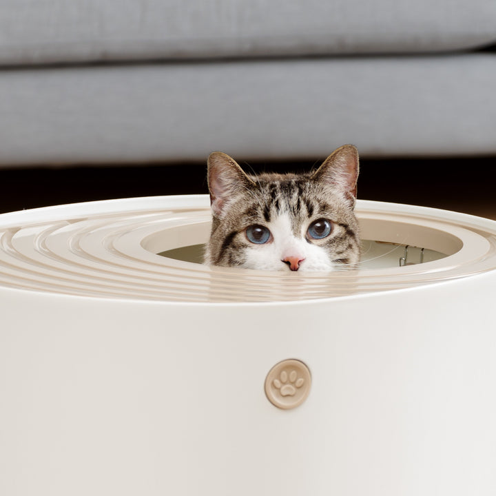 IRIS USA Large Top Entry Cat Litter Box, Hooded Privacy, Beige/White