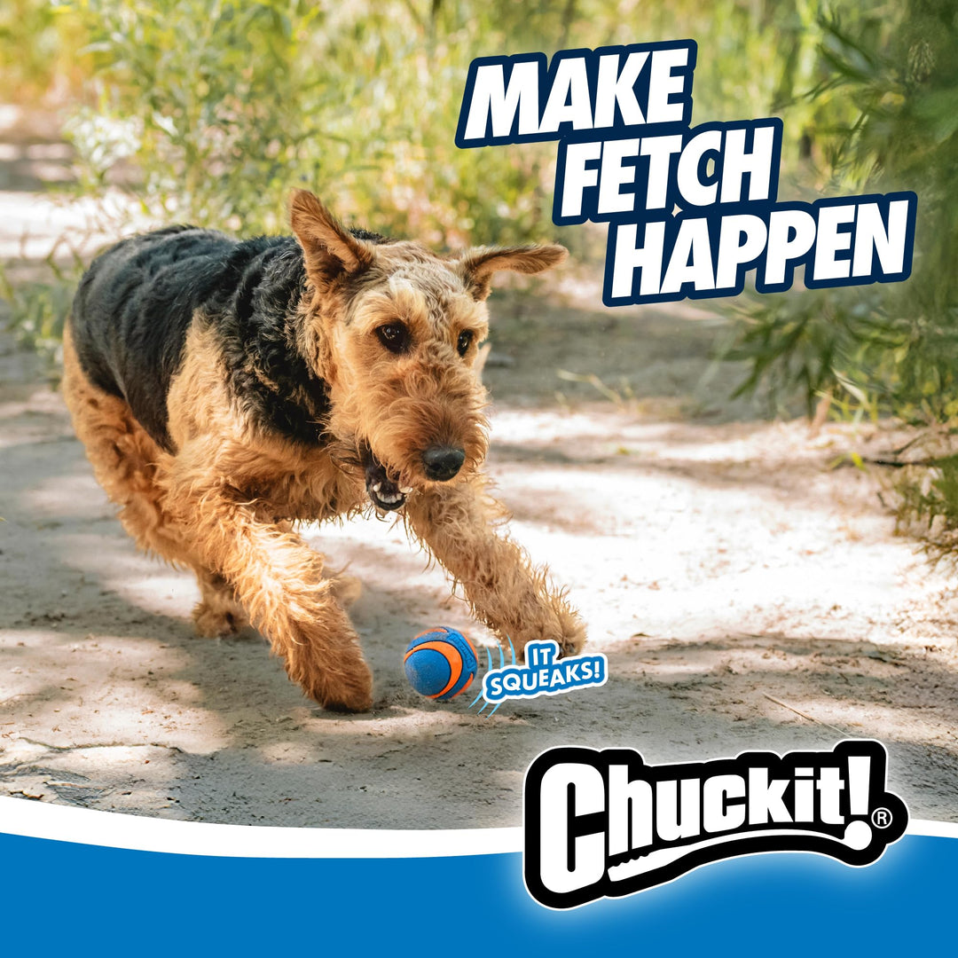 Chuckit! Ultra Squeaker Dog Balls, Floating, Medium 2.5-in, 2-Pack