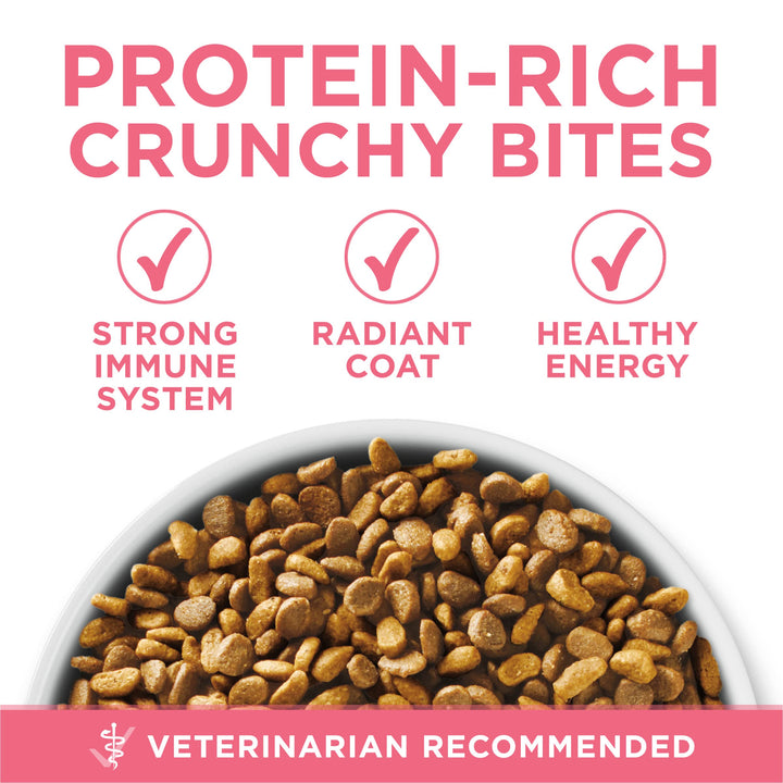 Purina ONE High Protein Natural Kitten Dry Cat Food, 16 lb Bag