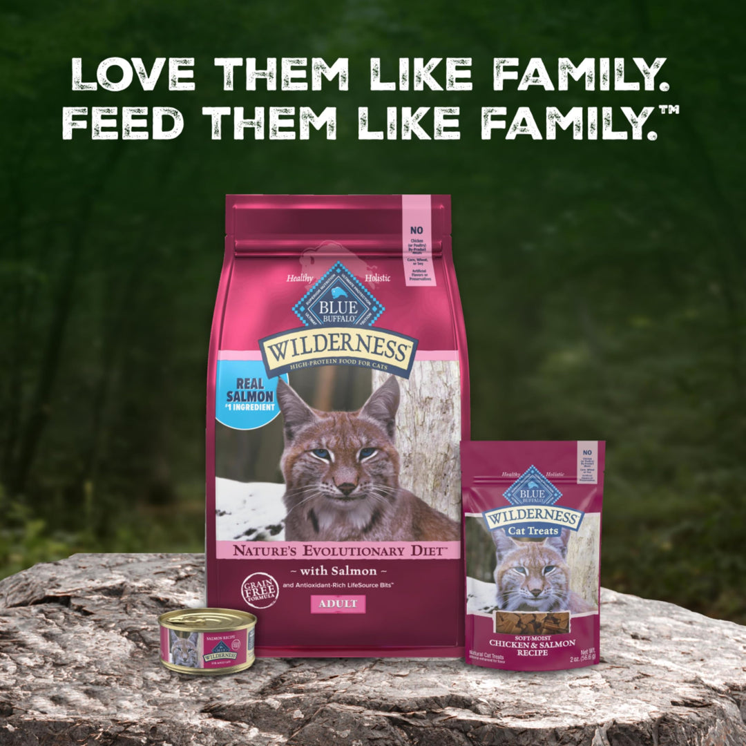 Blue Buffalo Wilderness Salmon Adult Dry Cat Food, Grain-Free, 11 lb
