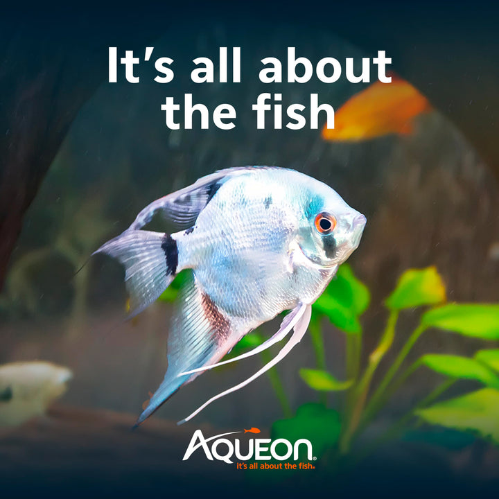 Aqueon Cichlid Food Color Enhancing 4.5 Ounces Color