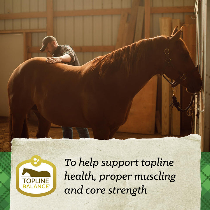 SafeChoice Senior Horse Feed, Molasses Free Multi-Form, 50 lbs