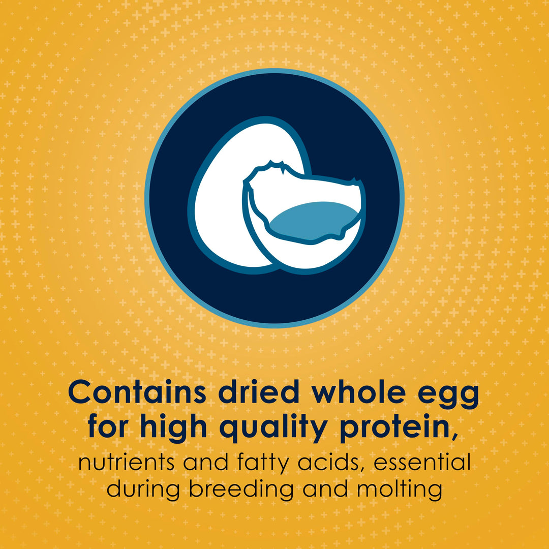 Kaytee Forti-Diet Pro Health Egg-Cite Nourish+Protect Parakeet Bird Seed