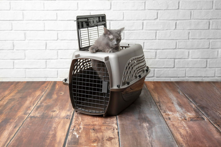 Petmate Dog Crate for Small Dogs and Cat Carrier, 24in, Pearl Tan