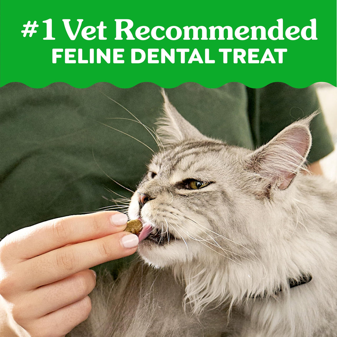 Greenies Feline Natural Dental Cat Treats, Roasted Chicken Flavor, 21 oz