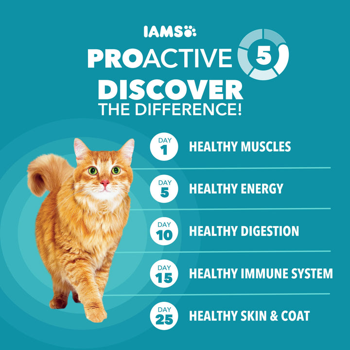 IAMS Proactive Health Indoor Dry Cat Food, Salmon, 16 lb