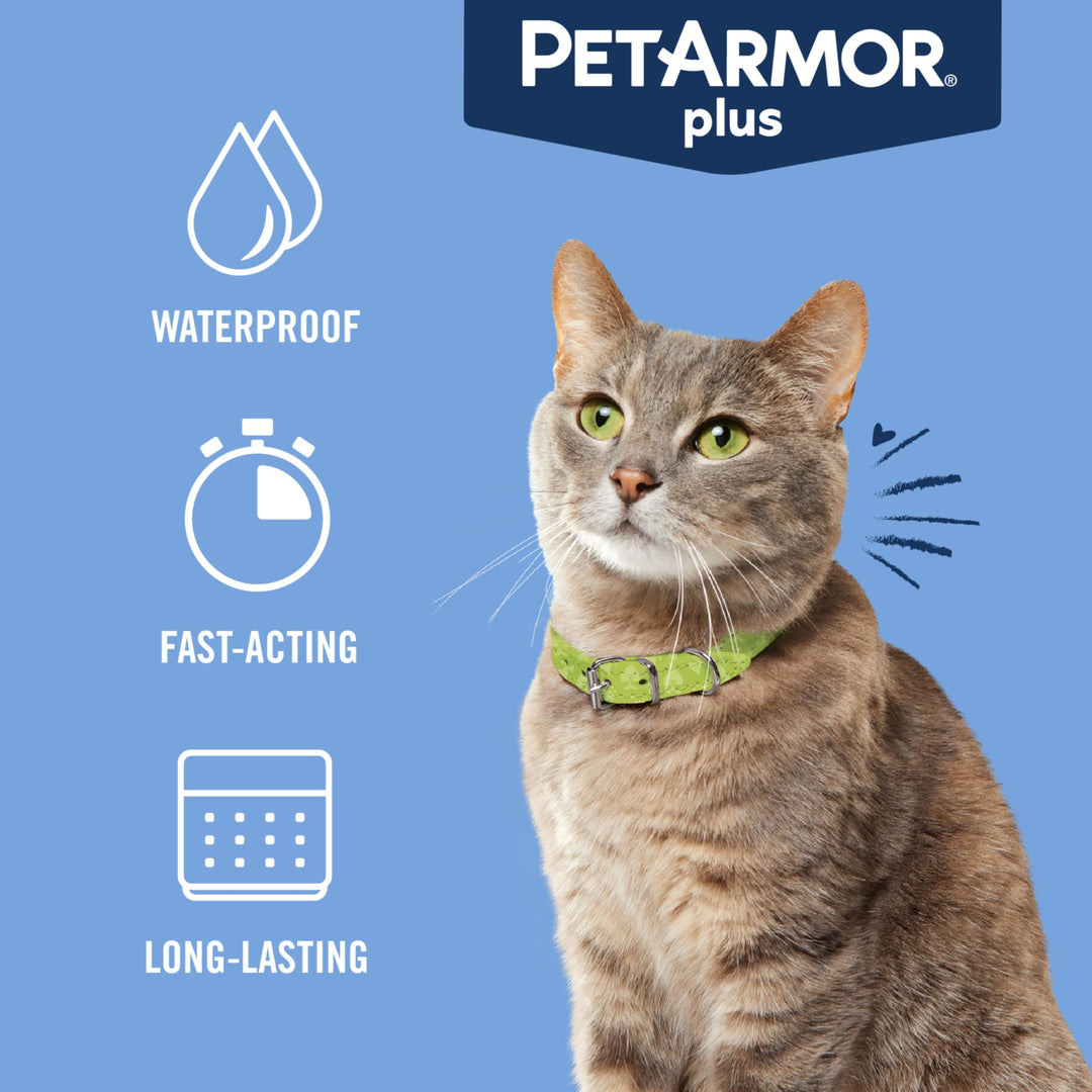 PetArmor Plus Flea &amp; Tick Topical Cats 1.5 lbs+, 6-Month