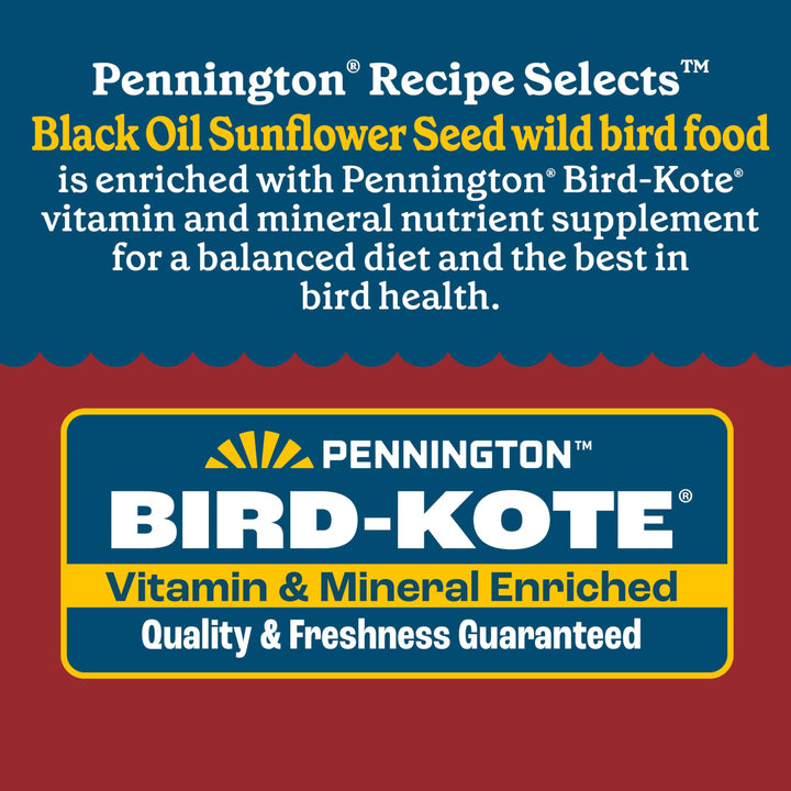 Pennington Select Black Oil Sunflower Seed 40lbs