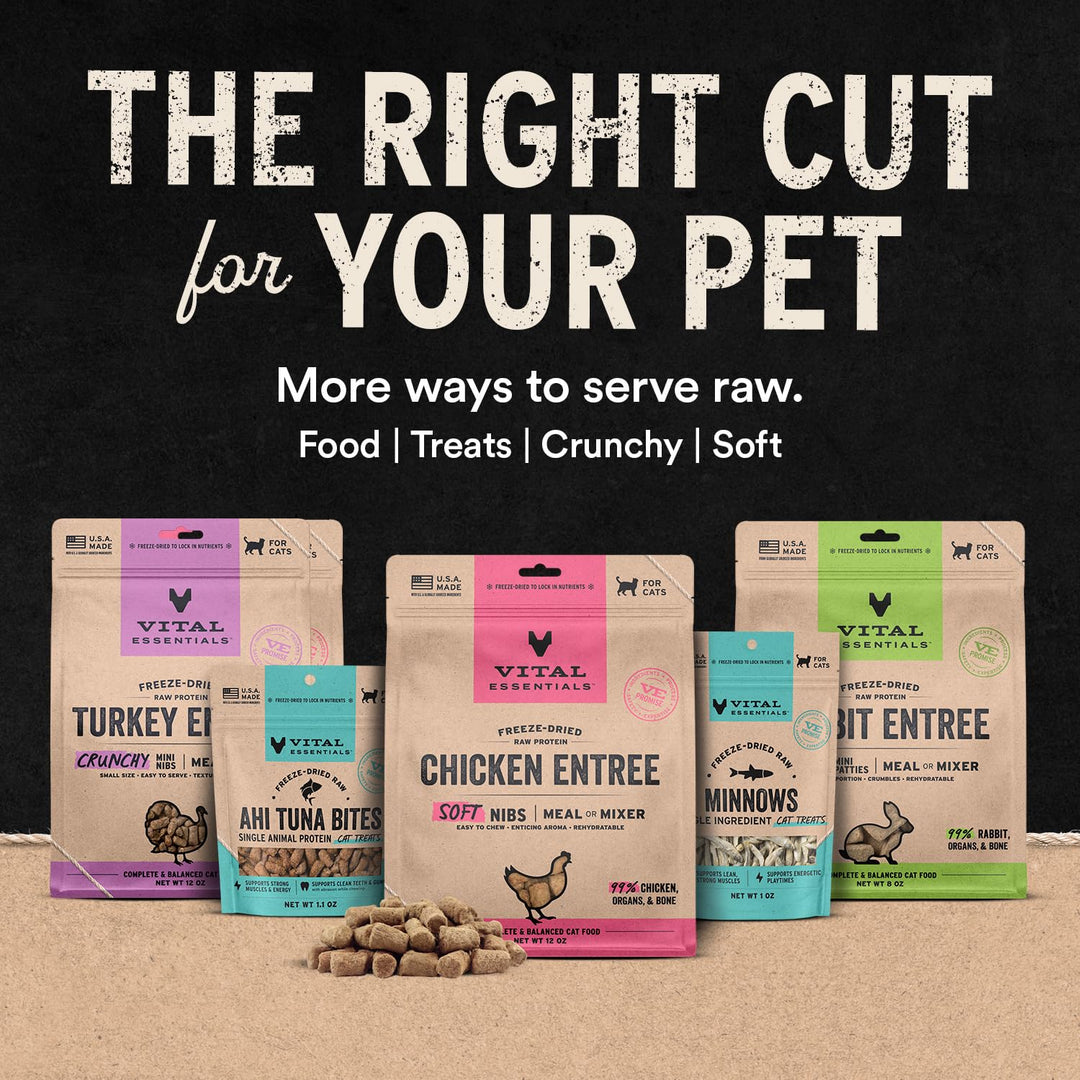 Vital Essentials Freeze Dried Raw Chicken Hearts Cat Treats, 2.75 oz Bag