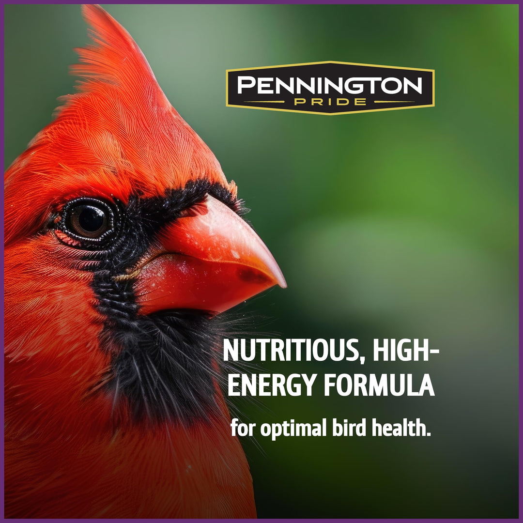 Pennington Songbird Nut &amp; Fruit Blend Wild Bird Seed for Outside Feeders