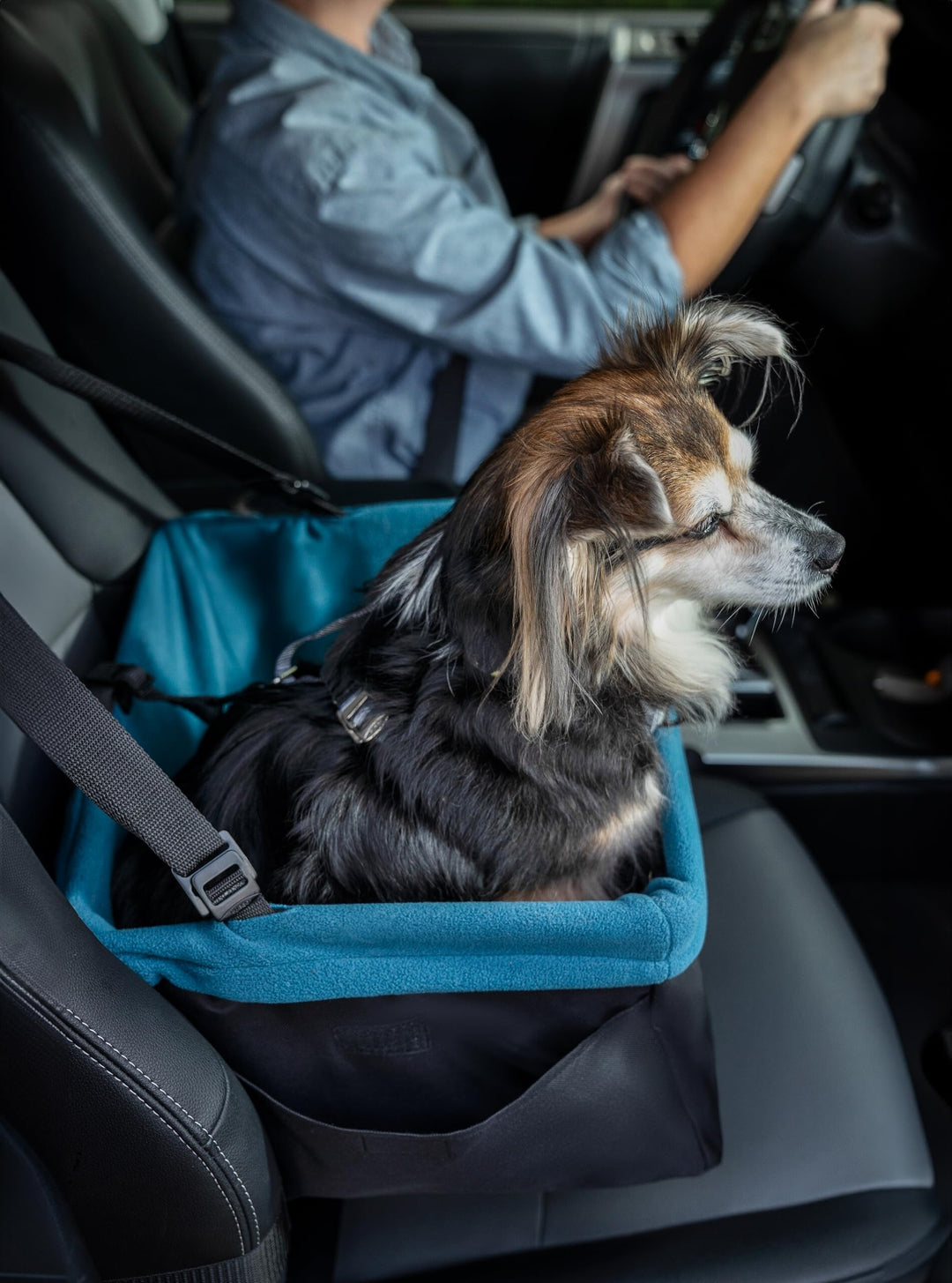 Kurgo Rover Pet Booster Seat for Small Dogs or Cats, Front &amp; Rear Dog Car Seat, Carrier Carseat for Pets, Dog Seatbelt Tether, Helps with Canine Car Sickness