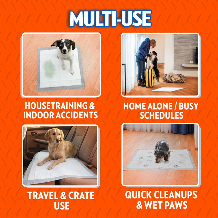 OUT! PetCare XXL Puppy Pads, Heavy Duty Pee Pads for Dogs, 26x30, 30 Count