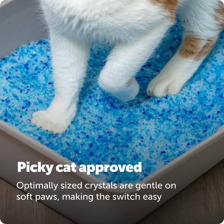 PetSafe ScoopFree Premium Crystal Cat Litter, Fresh Scent, 4.3 lb, 2-Pack