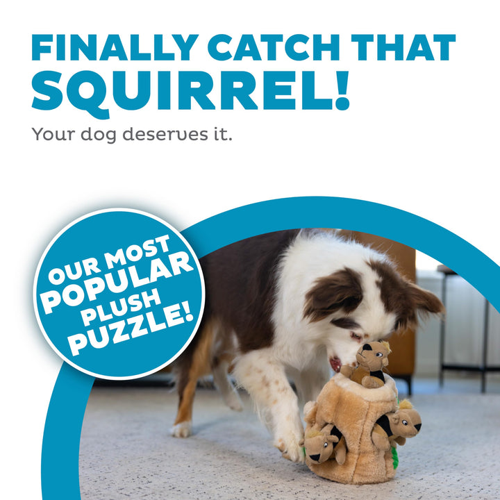 Outward Hound Hide-A-Squirrel Plush Squeaky Dog Toy, Medium, 6.5" x 6.5"
