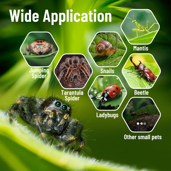 Jumping Spider Enclosure,DIY Insects Habitat,Small Reptile Terrarium Glass House Accessories Set,with Jumping Bridge Hide Water Feeder (Purple)