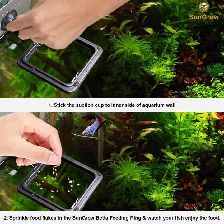 SunGrow Fish Food Feeding Ring, Stop Water Turbulence from Washing Food &amp; Floating Plants into Filter, Suitable for Flakes &amp; Floating Fish Pellets, for Goldfish, Guppy, Neon Tetra, Betta, 1 Piece