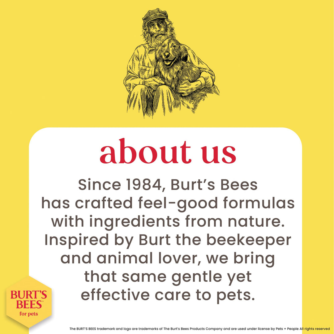 Burts Bees for Pets Hypoallergenic Dog Shampoo, Shea Butter Honey, 16 Fl Oz
